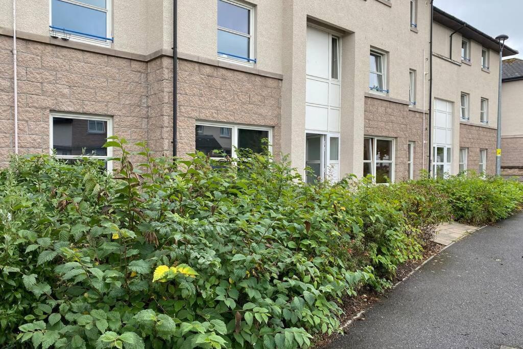 Peter Pan Apartment In The Heart Of Inverness Dalneigh Zewnętrze zdjęcie